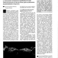 courrier cnrs 79_Page_065.jpg