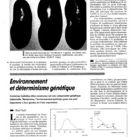 courrier cnrs 72_Page_090.jpg
