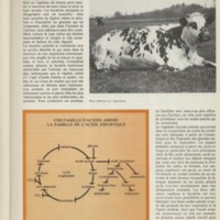 Le courrier du CNRS 17