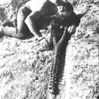 rapport 1970_214.jpg