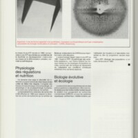 Rapport CNRS 1981-1982