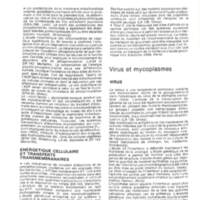 Rapport CNRS 1974-science_129.jpg