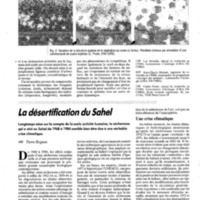 courrier cnrs 72_Page_058.jpg