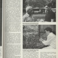 Le courrier du CNRS 28