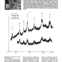 courrier cnrs 58_Page_25.jpg
