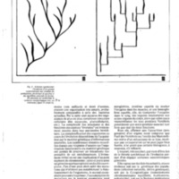 courrier cnrs 59_Page_21.jpg