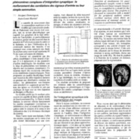 courrier cnrs 79_Page_098.jpg