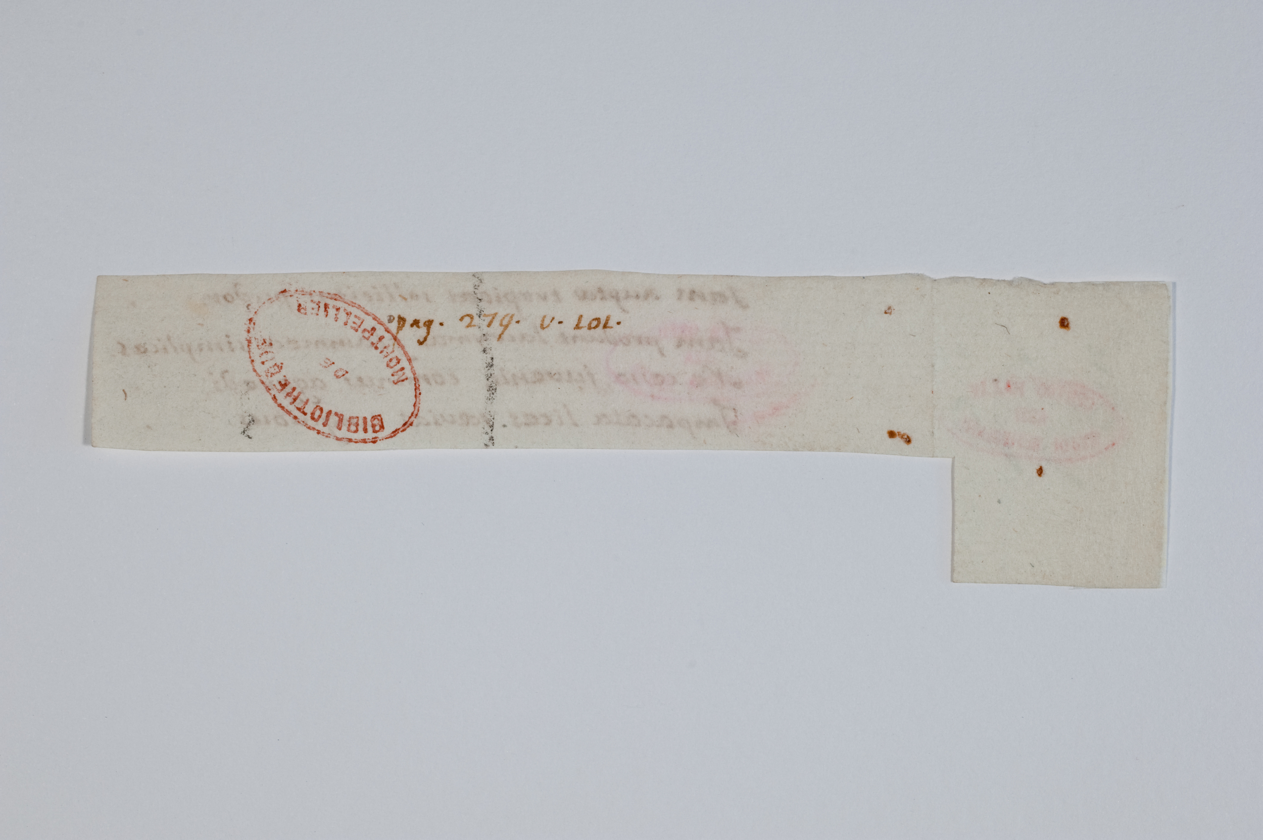 Asti, FCSA, 07-187, c. 07v Asti, FCSA, 07-187, c. 07v