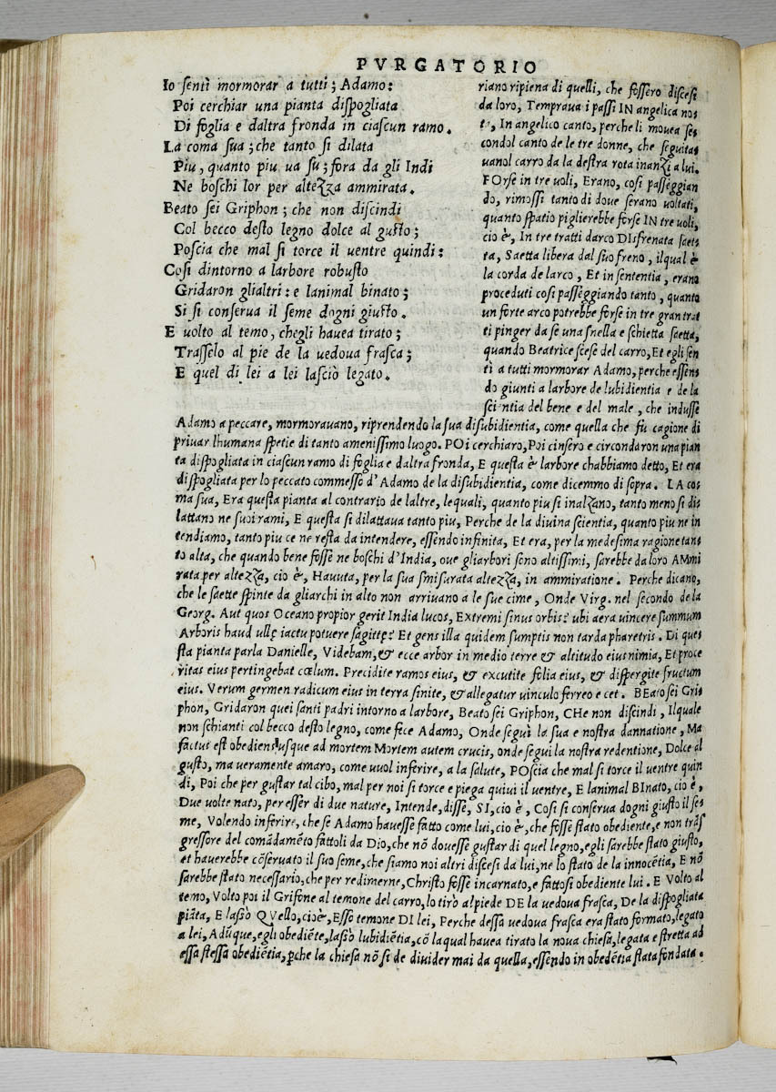 Asti, FCSA, 1544, c. 298v