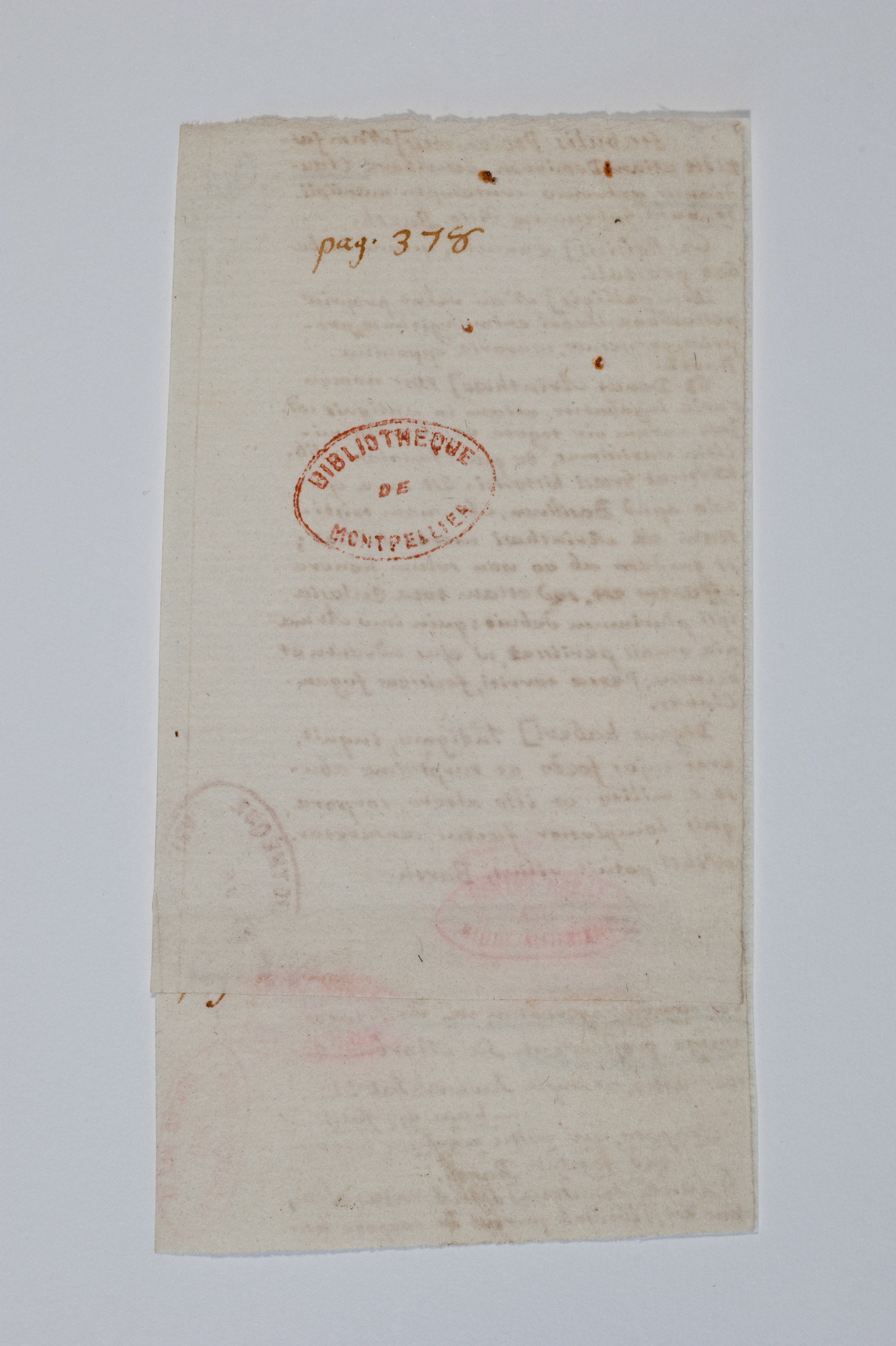 Asti, FCSA, 07-187, c. 02v Asti, FCSA, 07-187, c. 02v