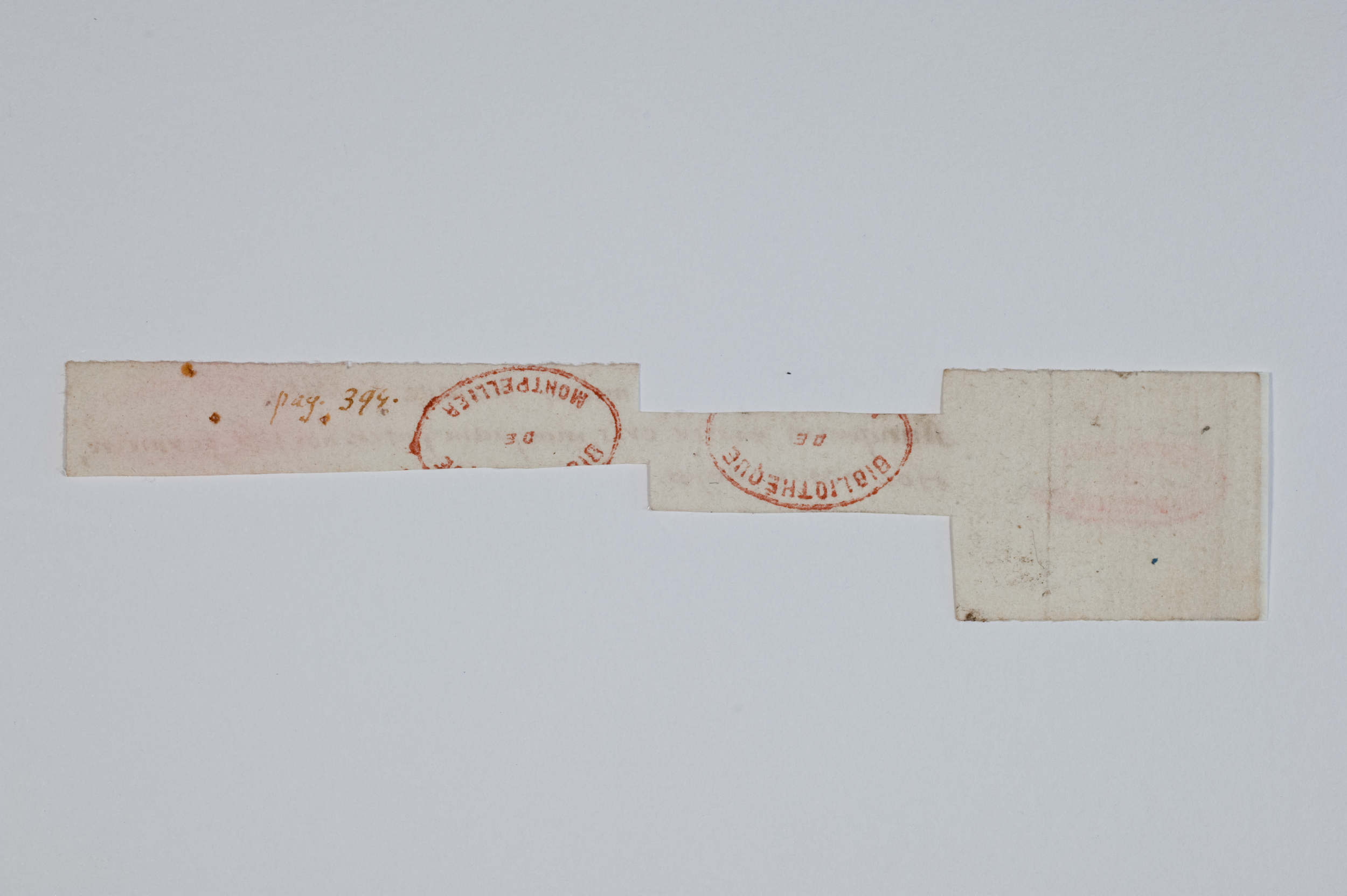 Asti, FCSA, 07-187, c. 06v Asti, FCSA, 07-187, c. 06v