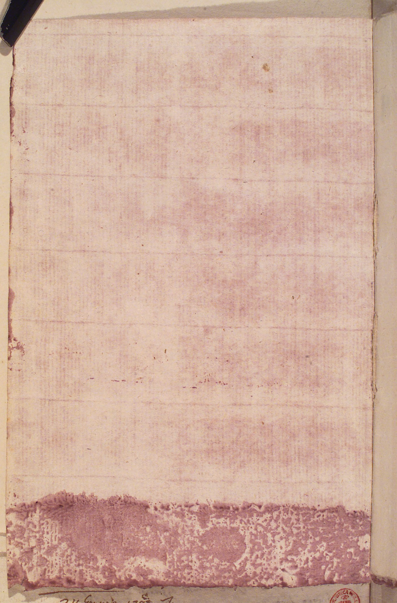 Firenze, BML, Alfieri 6, c. 114v Firenze, BML, Alfieri 6, c. 114v