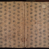 Firenze, BML, ms. «Alfieri 1»