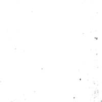 Dangers de l'opinion (Les), drame en cinq actes, en vers