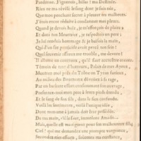Nitetis tragédie