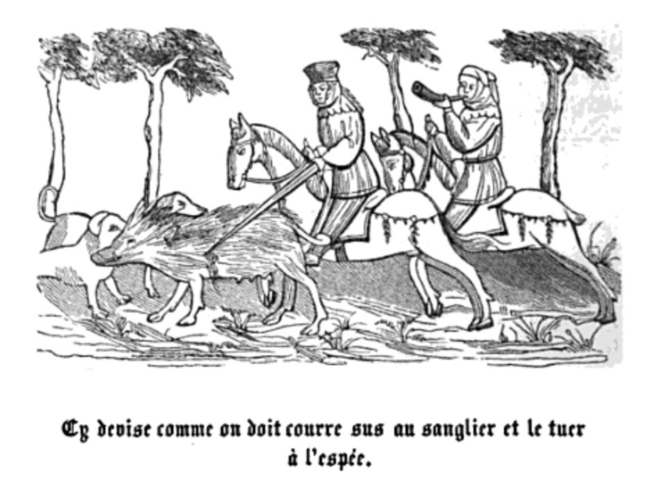 ModusSanglier.jpg