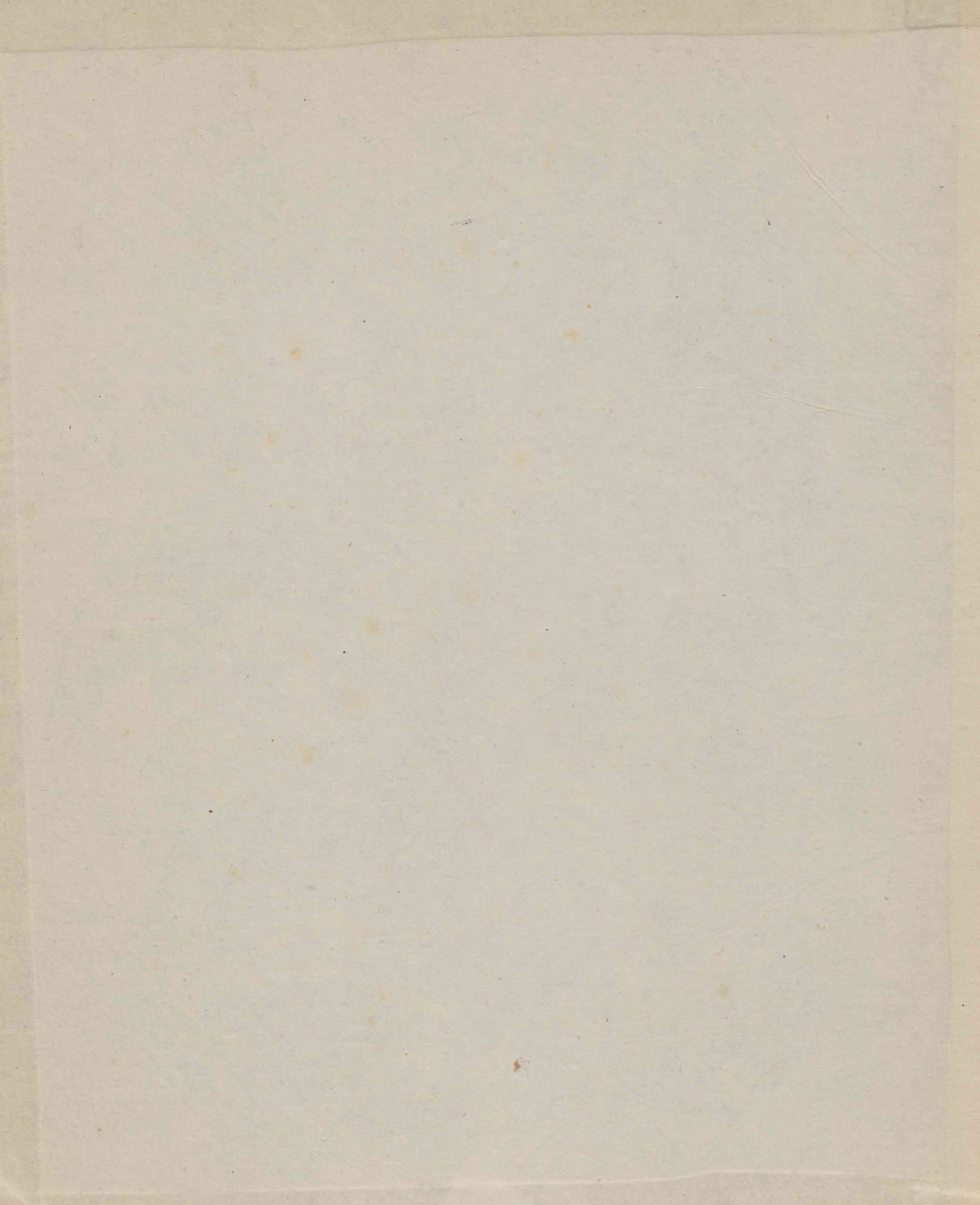 0002.T.0.jpg