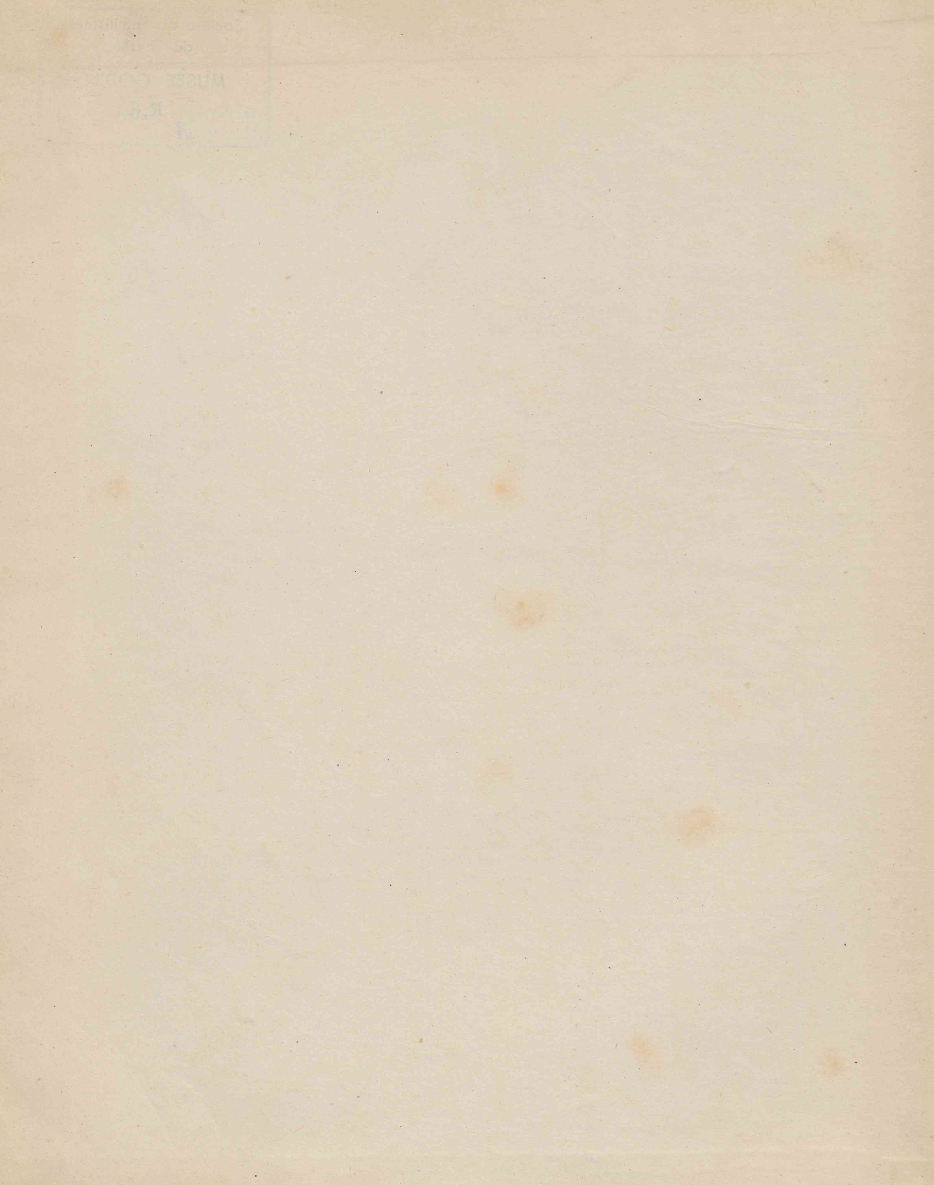 0004.T.0.jpg