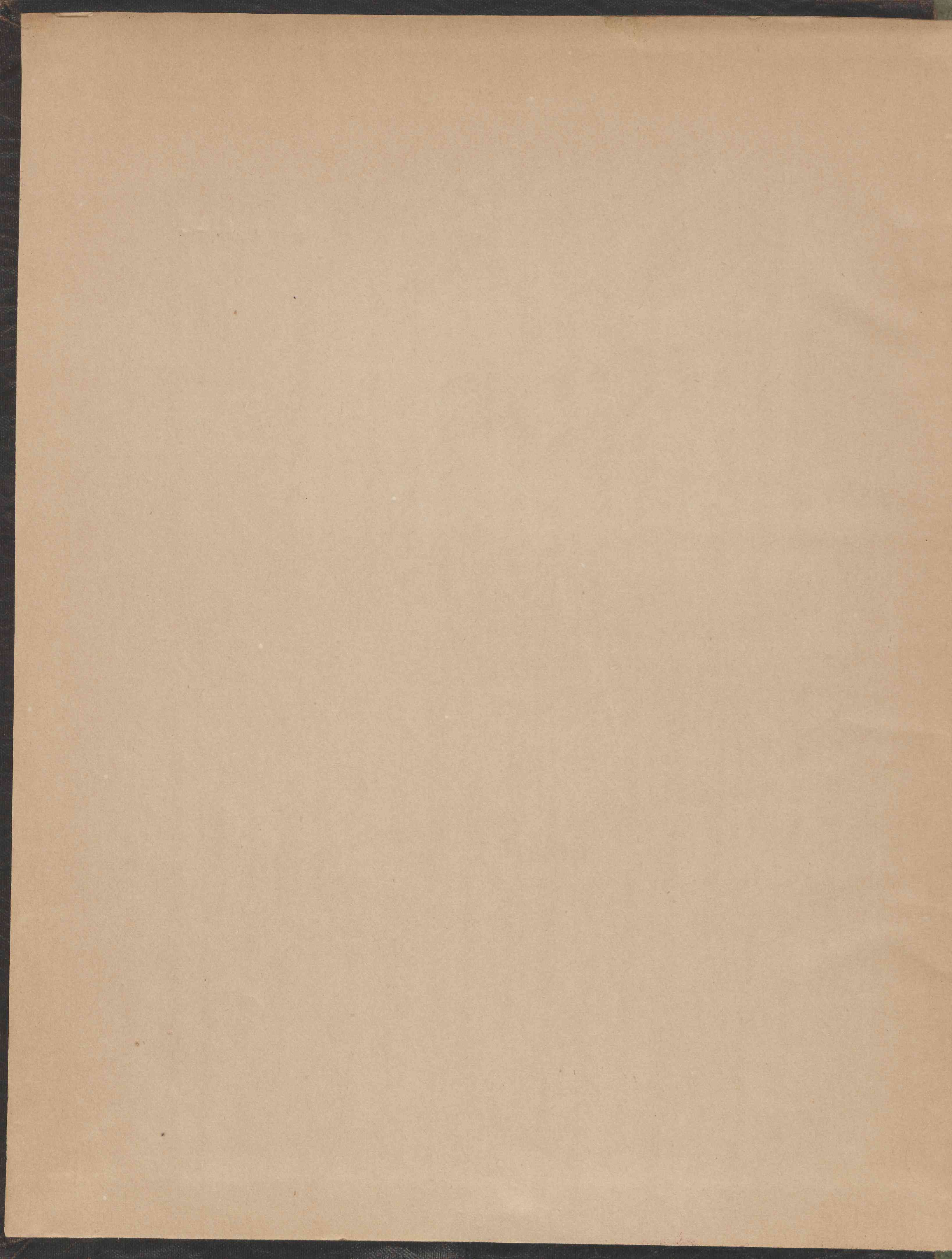 0002.T.0.jpg