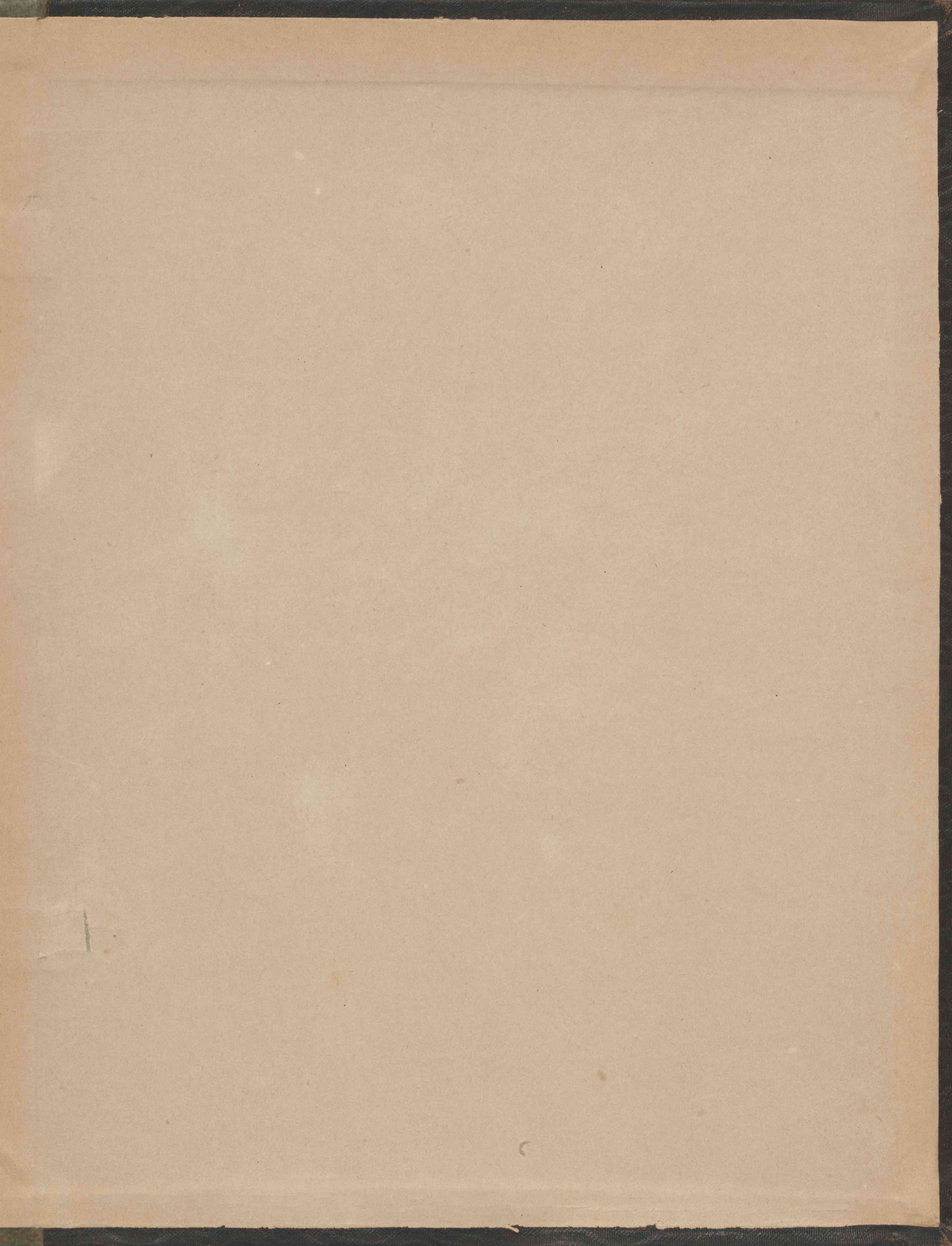 0237.T.0.jpg