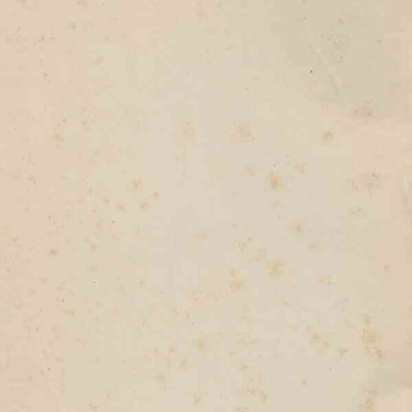 0004.T.0.jpg