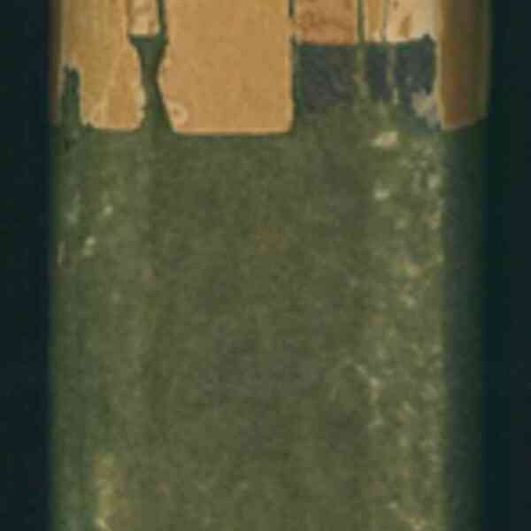 Registre FG 15 (10) - Reliure