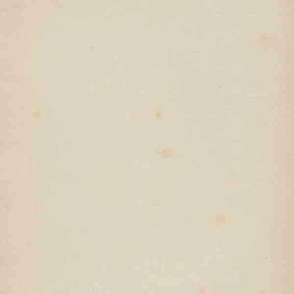 0004.T.0.jpg