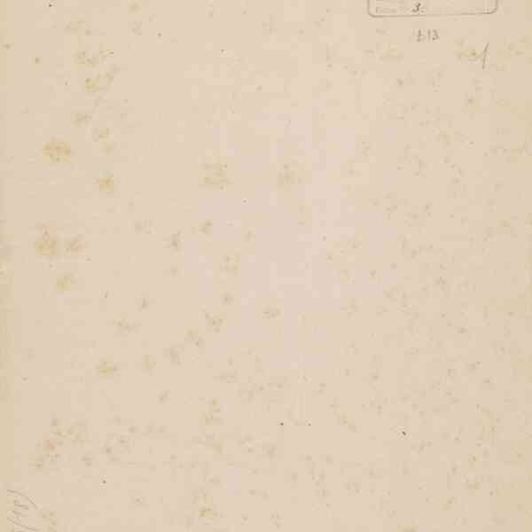 0003.T.0.jpg