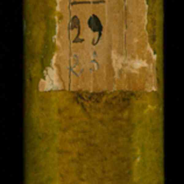 0559.T.0.jpg