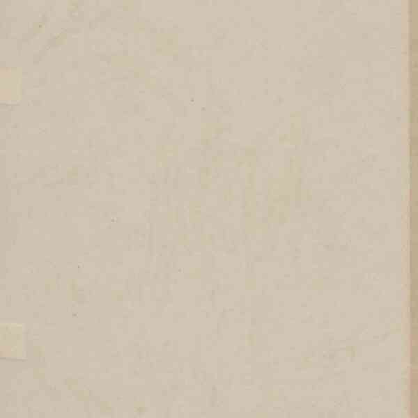 0241.T.0.jpg