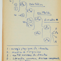 boite44_B/NAF_28730_44_B-00108.jpeg