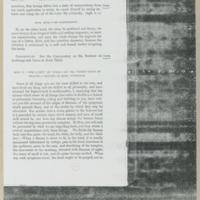  boite28/b_28_T0000298.jpg