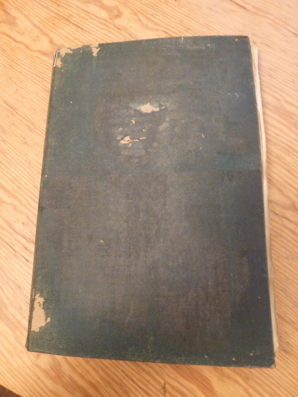 Oke of Okehurst-back cover.JPG Oke of Okehurst-back cover.JPG