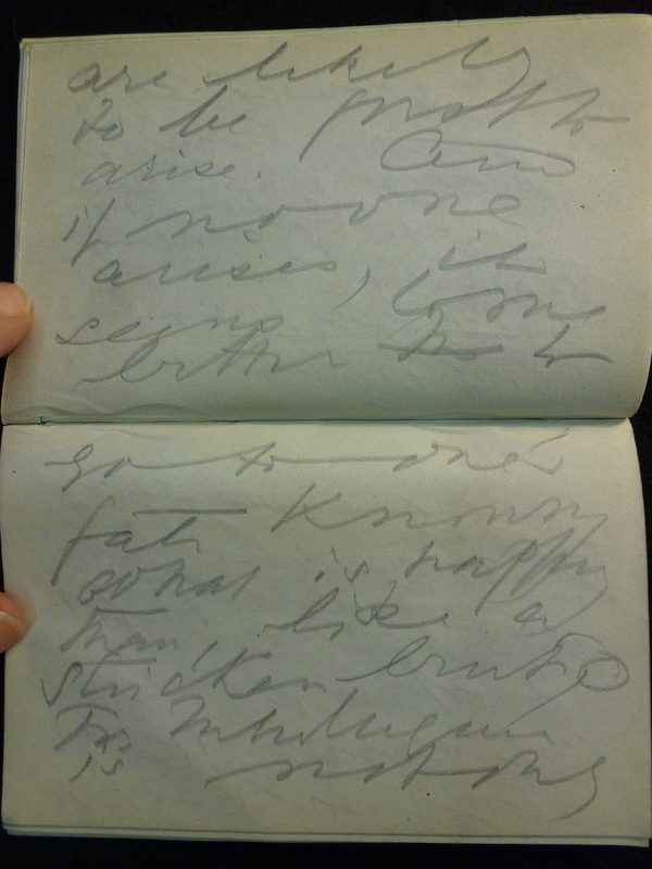 Proteus Notebook-4-VLA Colby-Page56-57.JPG Proteus Notebook-4-VLA Colby-Page56-57.JPG