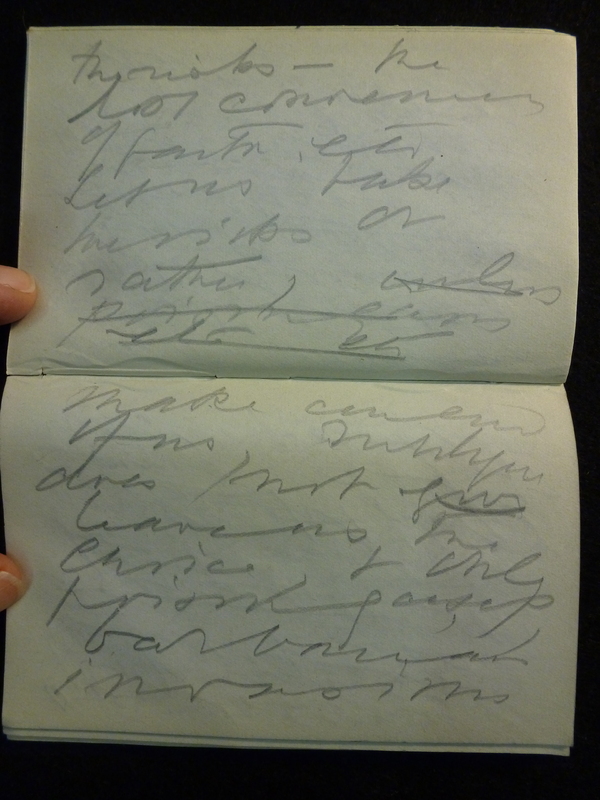 Proteus Notebook-4-VLA Colby-Page50-51.JPG
