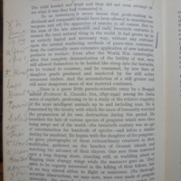 46 - p. 90 (2).JPG