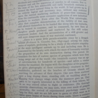 45 - p. 90 (1).JPG
