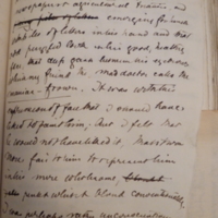 To delete - replica of page 30