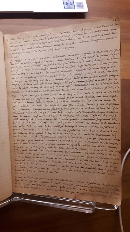 Brouillon - <em>Journal du métèque</em> Brouillon - <em>Journal du métèque</em>