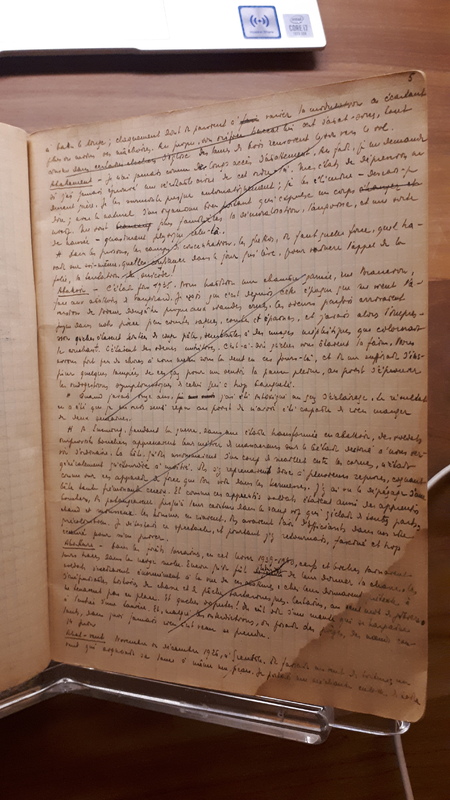Brouillon - <em>Journal du métèque</em> Brouillon - <em>Journal du métèque</em>