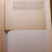 Littérature et réalité. Essai sur la nature et le devenir de l’art (sans date)