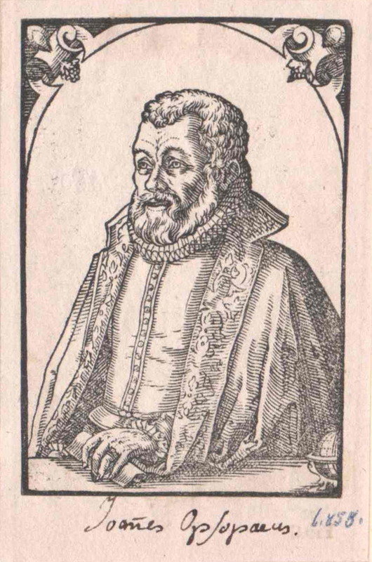 Portrait Johannes Opsopoeus