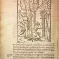Mythologie, Lyon, 1612 - II, 5 : De Hebé, p. 140