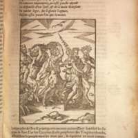Mythologie, Lyon, 1612 - V, 13 : De Bacchus, p. [511]
