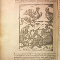 Mythologie, Lyon, 1612 - VII, 6 : Des Harpyes, p. [758]