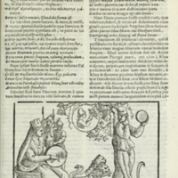 Mythologia, Padoue, 1616 - 08 : Rhéa sur son char