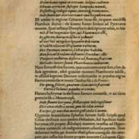 Mythologia, Francfort, 1581 - VI, 1 : De Phaetonte, p. 554