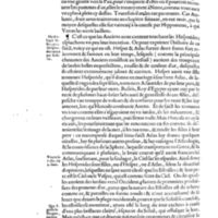 Mythologie, Paris, 1627 - VII, 8 : Des Hesperides, p. 732