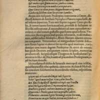 Mythologia, Francfort, 1581 - III, 16 : De Proserpina, p. 250