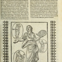 Mythologia, Padoue, 1616 - 47 : Vénus 